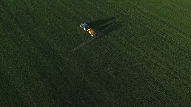 Blue tractor spraying  wheat field