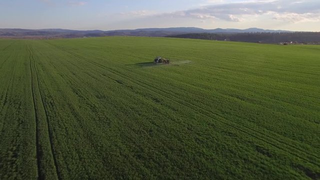 Tractor spraying wheat field