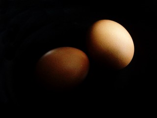 eggs