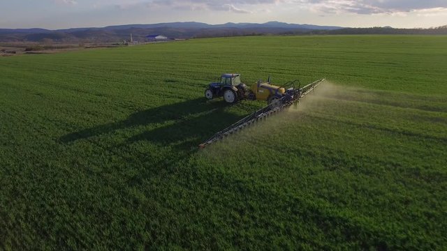 Drone flying over the spraying tractor. The field is like a green carpet.