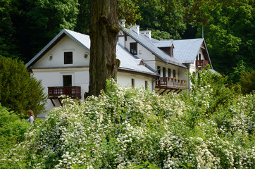 Ojcow in Poland