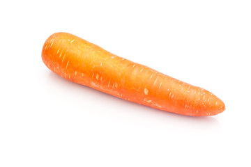One carrots for cooking isolated on white