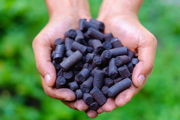 Selective focus of coal pellet in worker's hands against the blurred green natural background,...