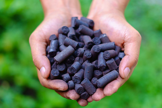 Selective focus of coal pellet in worker's hands against the blurred green natural background, energy concept