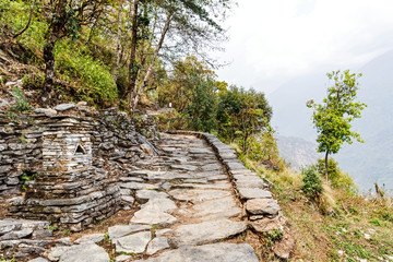 Fototapeta premium Footpath in the forest