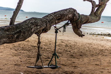 One swing with tree on the beach for tourist 