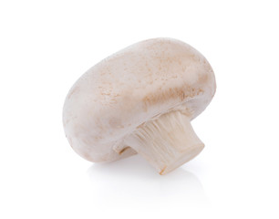 Mushroom champignon isolated on white background