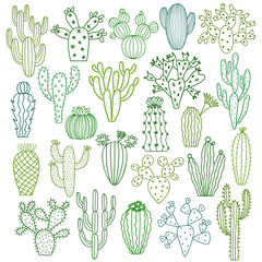 Cactus vector illustrations. Hand drawn cactus plants set