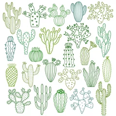 Foto op Canvas Cactus vector illustrations. Hand drawn cactus plants set © gala.draw