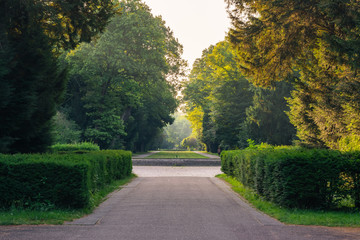 Karlsruhe Palace Botanical Garden Park Urban City Walking Nature Outdoors Grounds