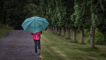 Woman under a green umbrella walking down a garden path on a rainy day at the New Jersey Botanical Gardens in Ringwood, NJ