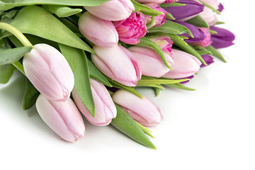 Pink tulips greeting card