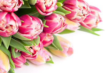 Obraz premium Floral tulips gift card