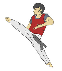 Taekwondo. Martial art