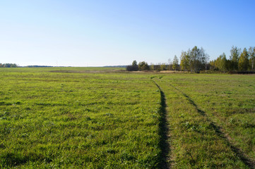 Fototapeta na wymiar Green grassy field with wheels trenches under the bright sunshine. Moscow region, Russia