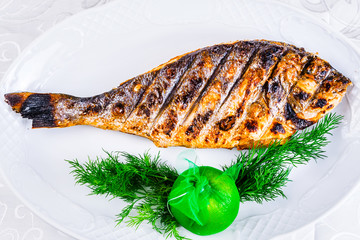 Grilled dorado fish on white plate