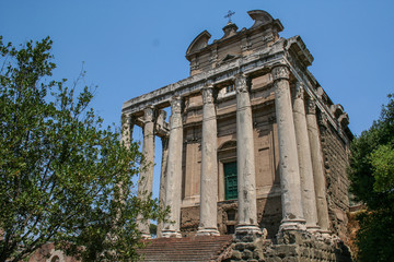 Fototapeta premium Templo de Antonino y Faustina, Foro Romano, Roma, Italia