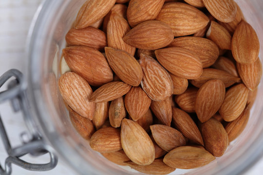 Apricot Seeds in a bowl. Vitamin b 17. Healthy eating, Cancer prevention concept, alternative medicine.