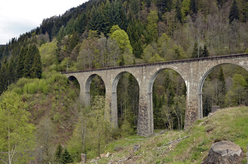 Fototapeta na wymiar Ravennabrücke im Schwarzwald