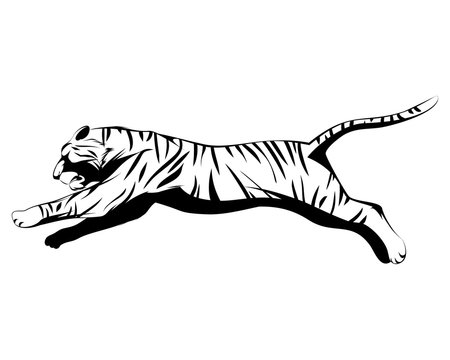 Big tiger jumping