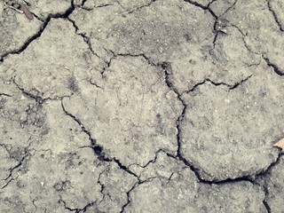 Dried cracked earth soil ground