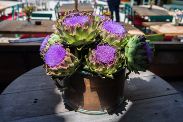 Artichocke flowers
