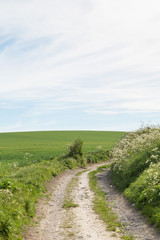 Obraz premium A roadway in the countryside