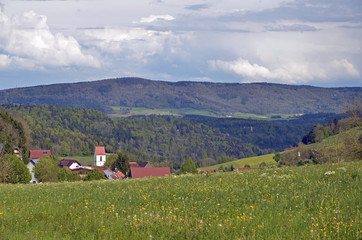 Fototapeta na wymiar Frühlingslandschaft bei Lausheim, Schwarzwald