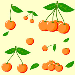 Juicy and sweet cherries of  yellow color.