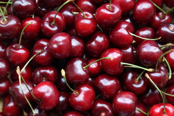 CLOSE UP RIPE ORGANIC CHERRIES BACKGROUND AND TEXTURE