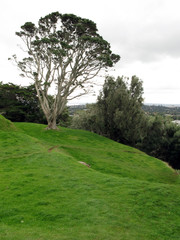 One Tree Hill & Cornwall Park, Aukland,  New Zealand