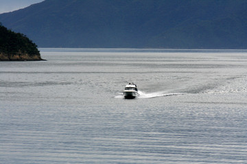 Cook Strait, New Zealand