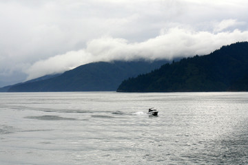 Cook Strait, New Zealand