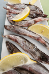 Composition with freshly frozen capelin and lemon close-up on a blue-green background.