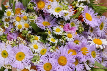 Summer flowers from the garden