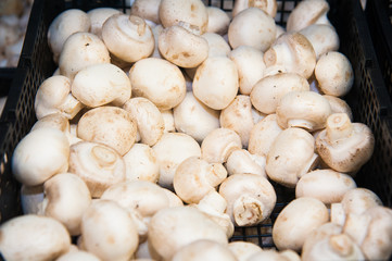 Mushrooms in shop