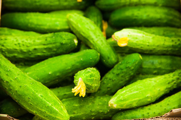 Cucumbers in supermarket
