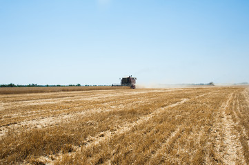 Combine harvesters in a field of wheat