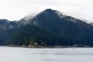 Marlborough Sound, New Zealand