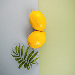 Two large ripe lemons and a green leaf on a blue-green pastel background..