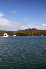 Rangitoto Island, New Zealand