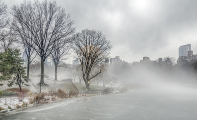 Obraz na płótnie Canvas Central Park, New York City winter