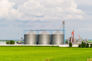 Agricultural Silo, foreground sunflower plantations - Building Exterior, Storage and drying of grains, wheat, corn, soy, sunflower against the blue sky with white clouds