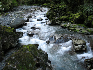 Fototapeta premium Milford Sound, Te Wahipounamu, New Zealand