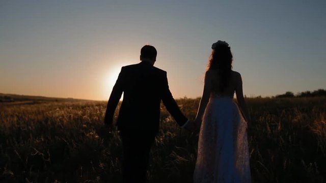 Groom and his beautiful bride walk on the field in sunset back light holding hands.Slowmotion. Overall plan.