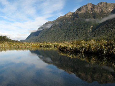 Milford Sound, Te Wahipounamu, New Zealand