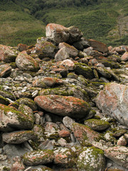 Franz Josef Glacier, New Zealand