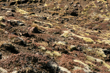 Tongariro National Park, New Zealand