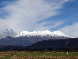 Fototapeta premium Tongariro National Park, New Zealand