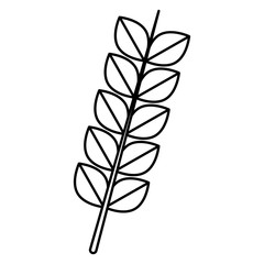 wheat ears icon over white background vector illustration